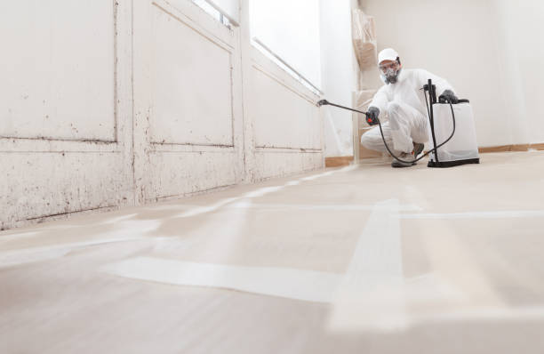 24/7 Emergency Basement Mold Remediation experts in Fort Lee, NJ