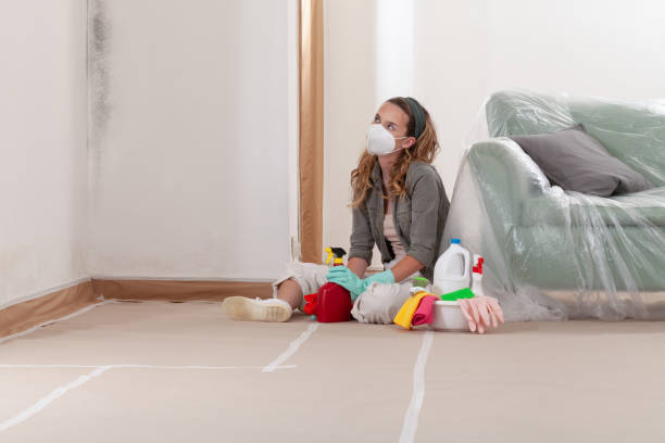 Reliable Basement Mold Remediation contractor in Fort Lee, NJ by Car Mold Remediation